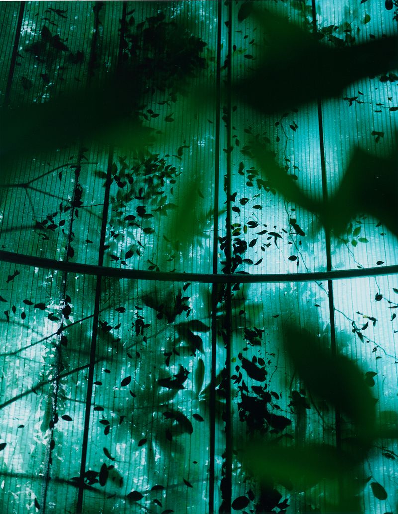 © Guarionex_jr - Image from the Raingsey photography project