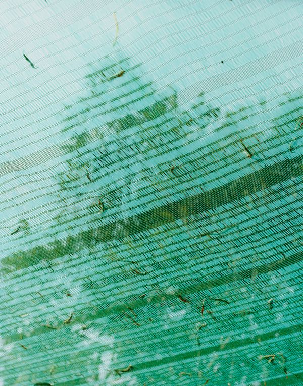 © Guarionex_jr - Image from the Raingsey photography project