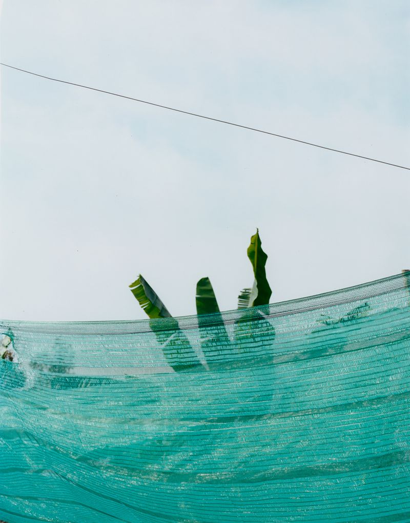 © Guarionex_jr - Image from the Raingsey photography project