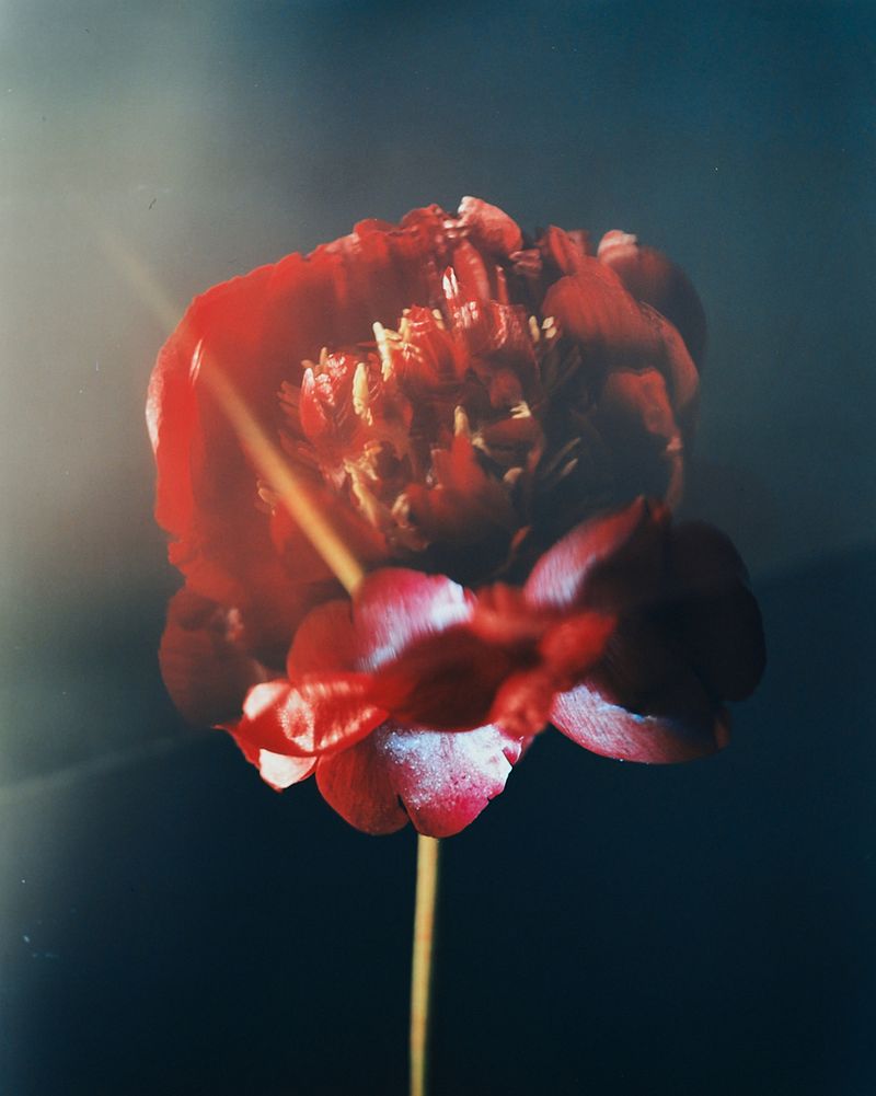 © Guarionex_jr - Image from the Flowers For Anacaona photography project