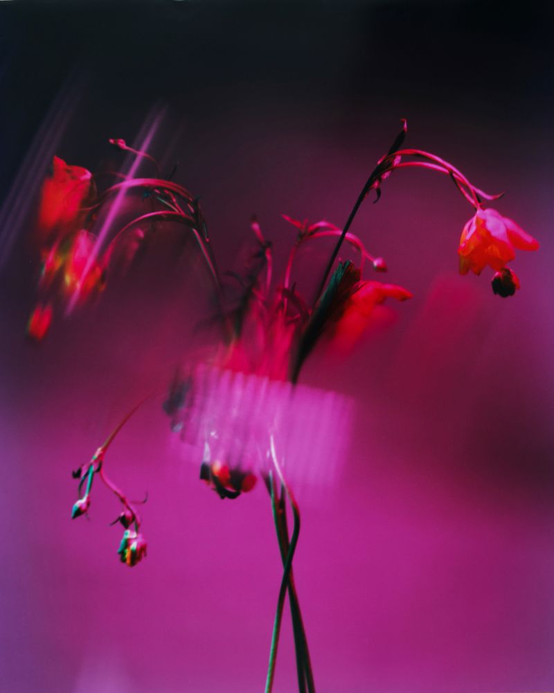 © Guarionex_jr - Image from the Flowers For Anacaona photography project