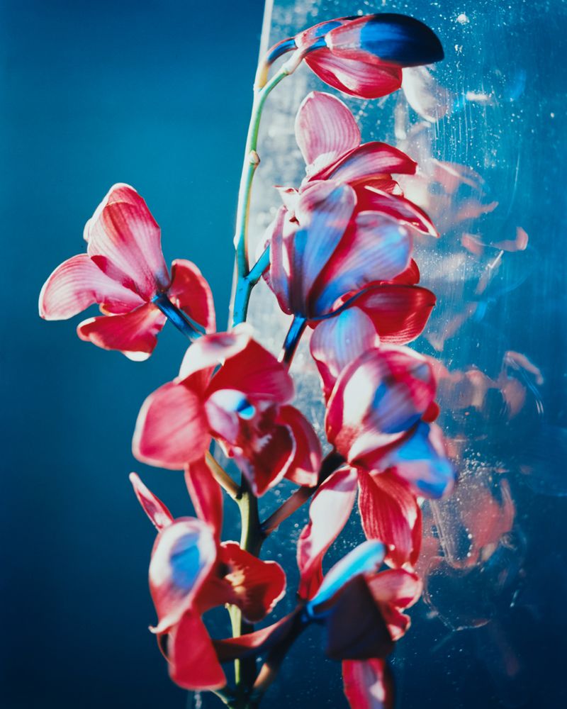 © Guarionex_jr - Image from the Flowers For Anacaona photography project