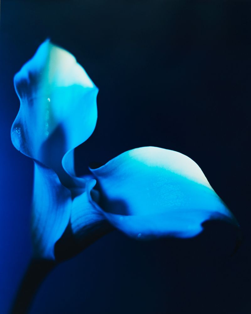 © Guarionex_jr - Image from the Flowers For Anacaona photography project