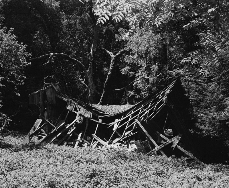 © Rose Marie Cromwell - Sunken mine