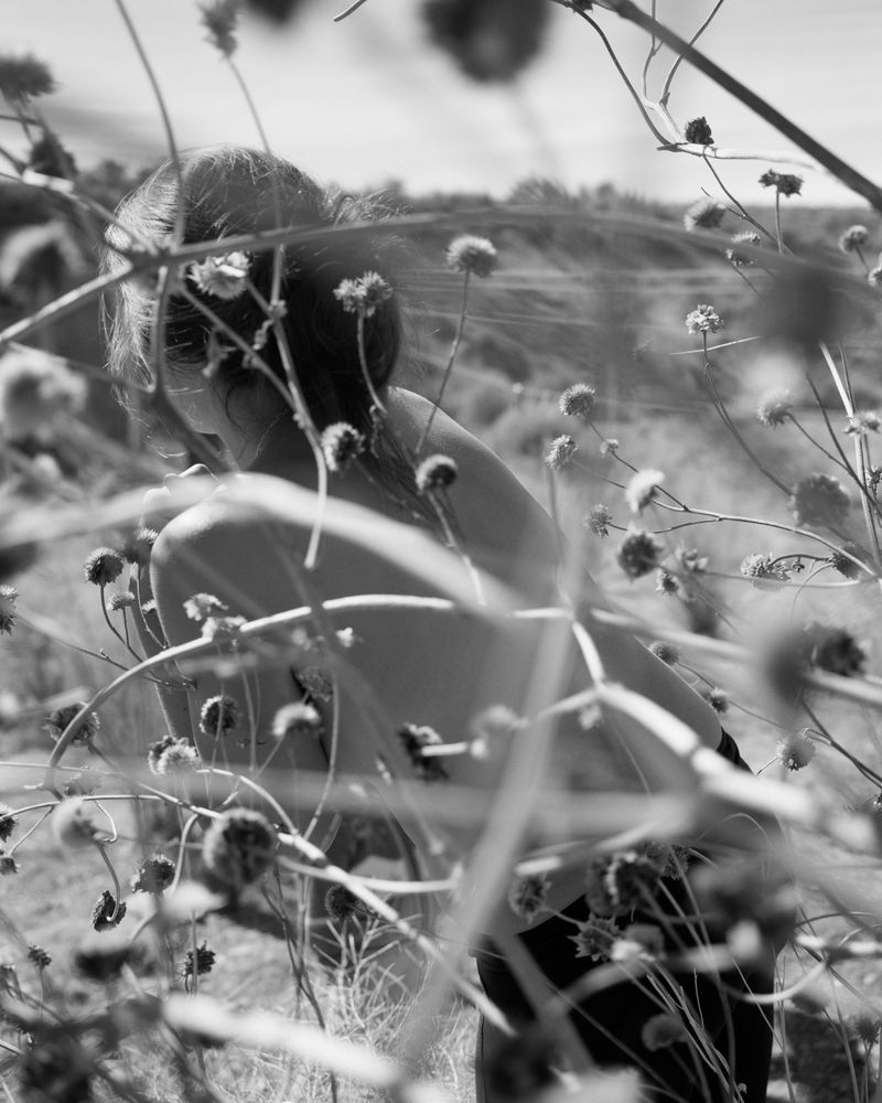 © Rose Marie Cromwell - In the dry bush