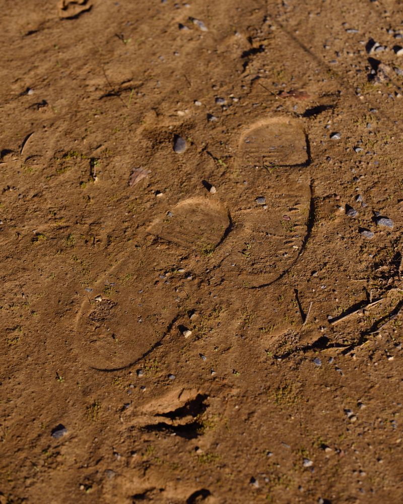 © Justus Lemm - Footsteps in a quarry, Neander Valley, Germany