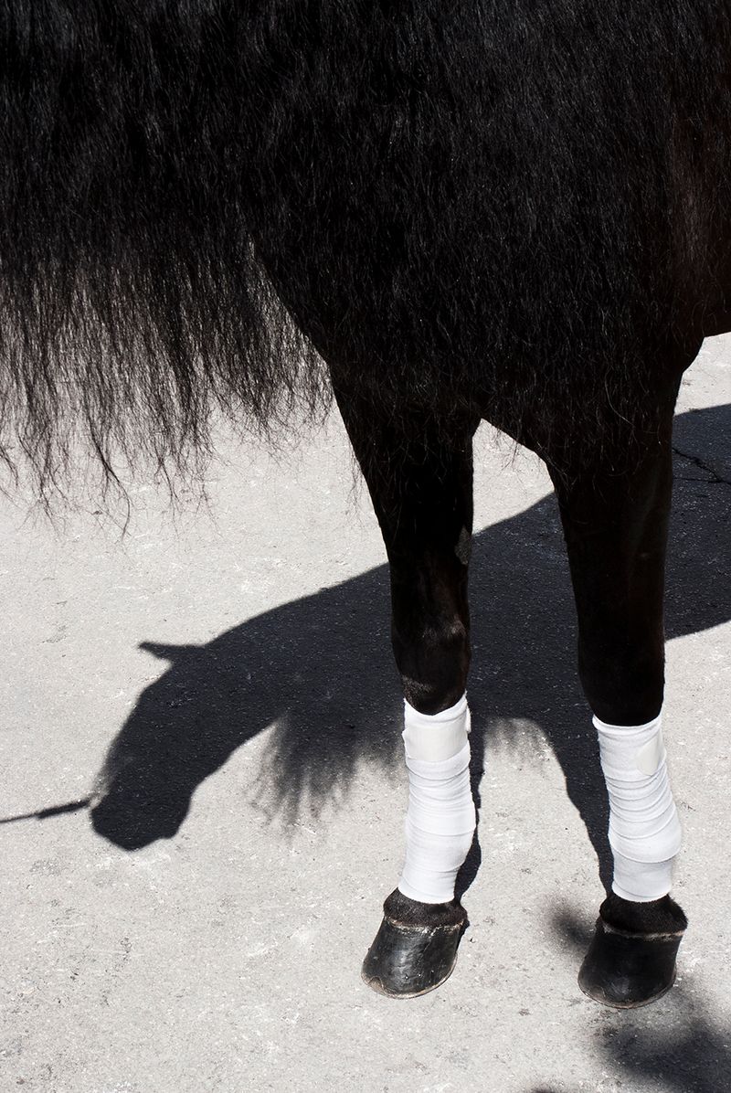 © David Salcedo - Image from the Fuchina: five days of the may photography project