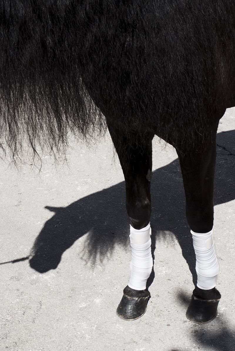 © David Salcedo - Image from the Fuchina: five days of the may photography project