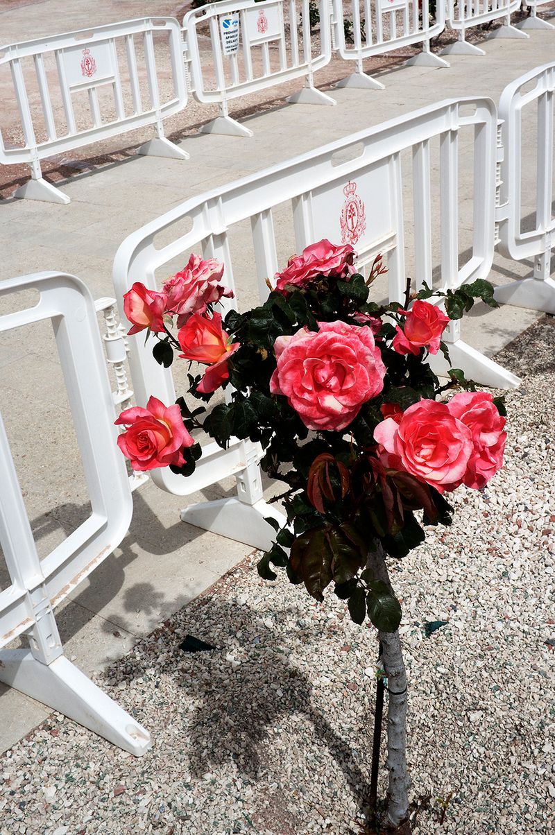 © David Salcedo - Image from the Fuchina: five days of the may photography project