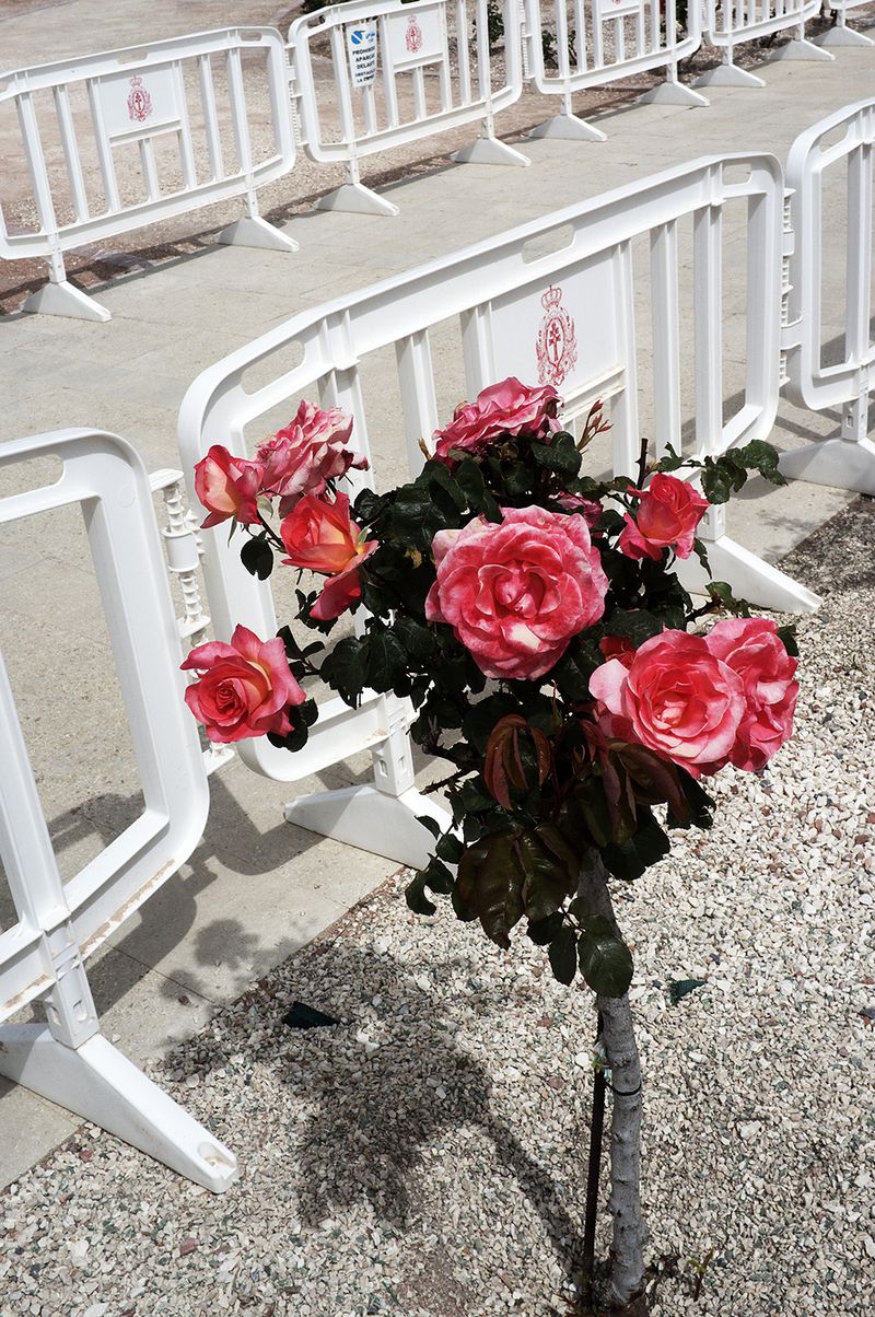 © David Salcedo - Image from the Fuchina: five days of the may photography project