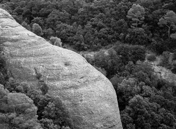 © Claudia den Boer - Image from the To pick up a stone photography project