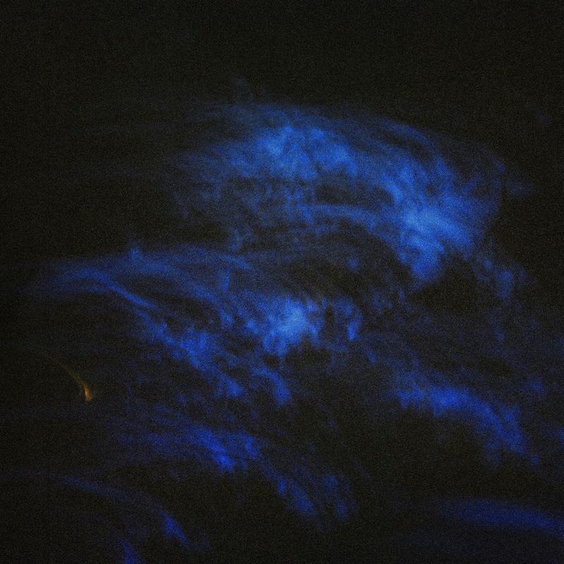 © Atefeh Farajolahzadeh - Image from the Still Moving photography project