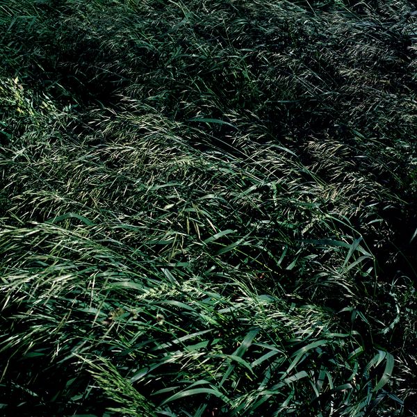 © Atefeh Farajolahzadeh - Image from the Still Moving photography project