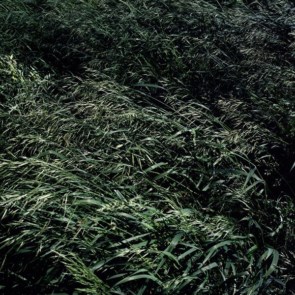 © Atefeh Farajolahzadeh - Image from the Still Moving photography project