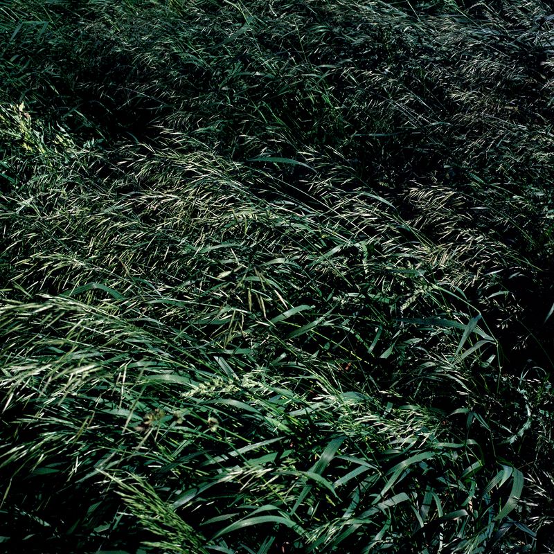 © Atefeh Farajolahzadeh - Image from the Still Moving photography project