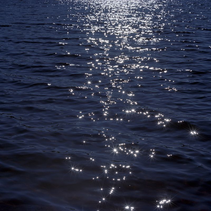 © Atefeh Farajolahzadeh - Image from the Still Moving photography project