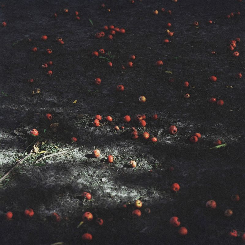 © Atefeh Farajolahzadeh - Image from the Still Moving photography project