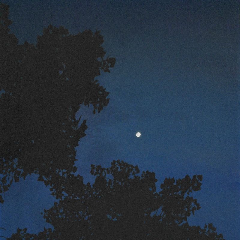 © Atefeh Farajolahzadeh - Image from the Still Moving photography project