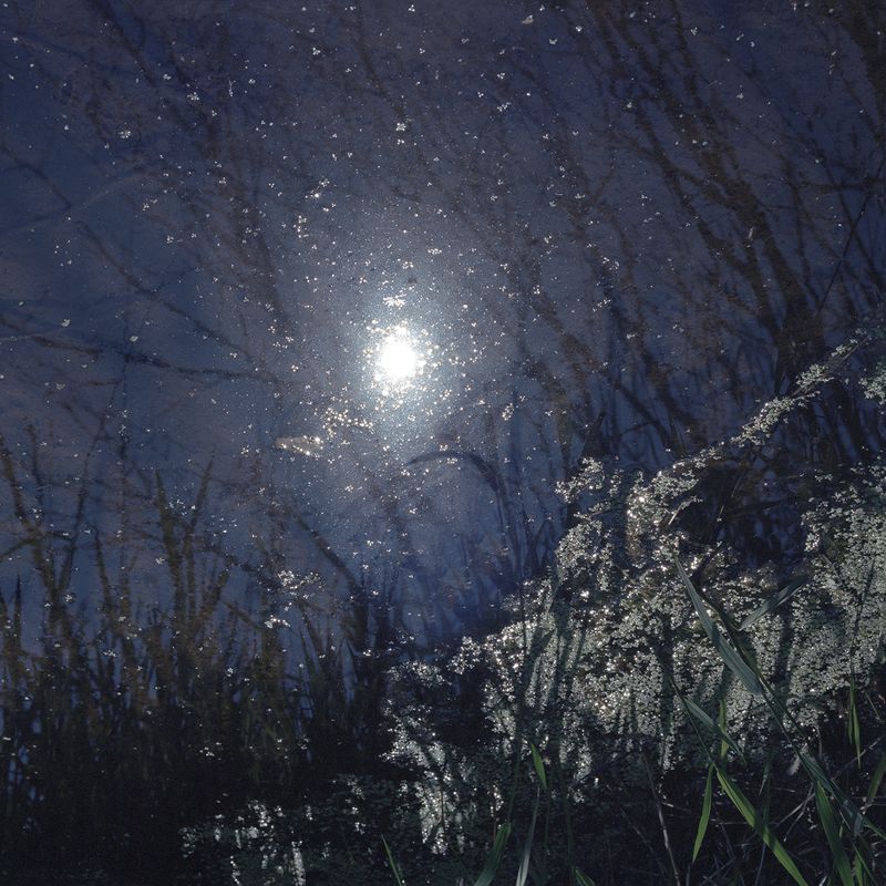 © Atefeh Farajolahzadeh - Image from the Still Moving photography project