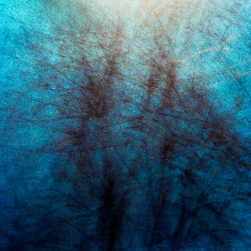 © Atefeh Farajolahzadeh - Image from the Still Moving photography project