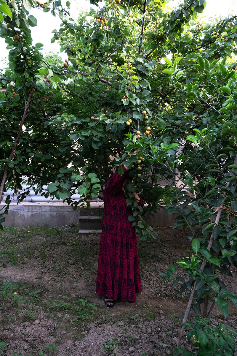 © Atefeh Farajolahzadeh - Image from the Presence and Absence photography project