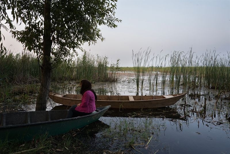 © Atefeh Farajolahzadeh - Image from the Presence and Absence photography project