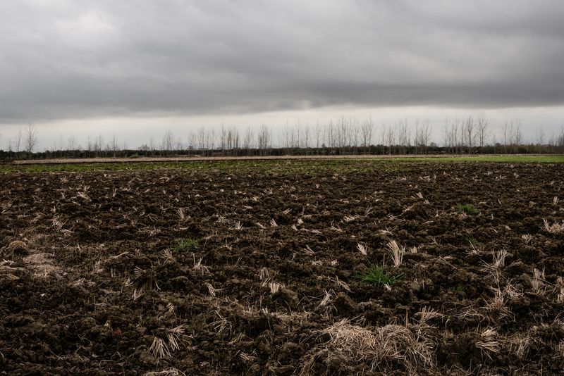 © Atefeh Farajolahzadeh - Image from the Presence and Absence photography project