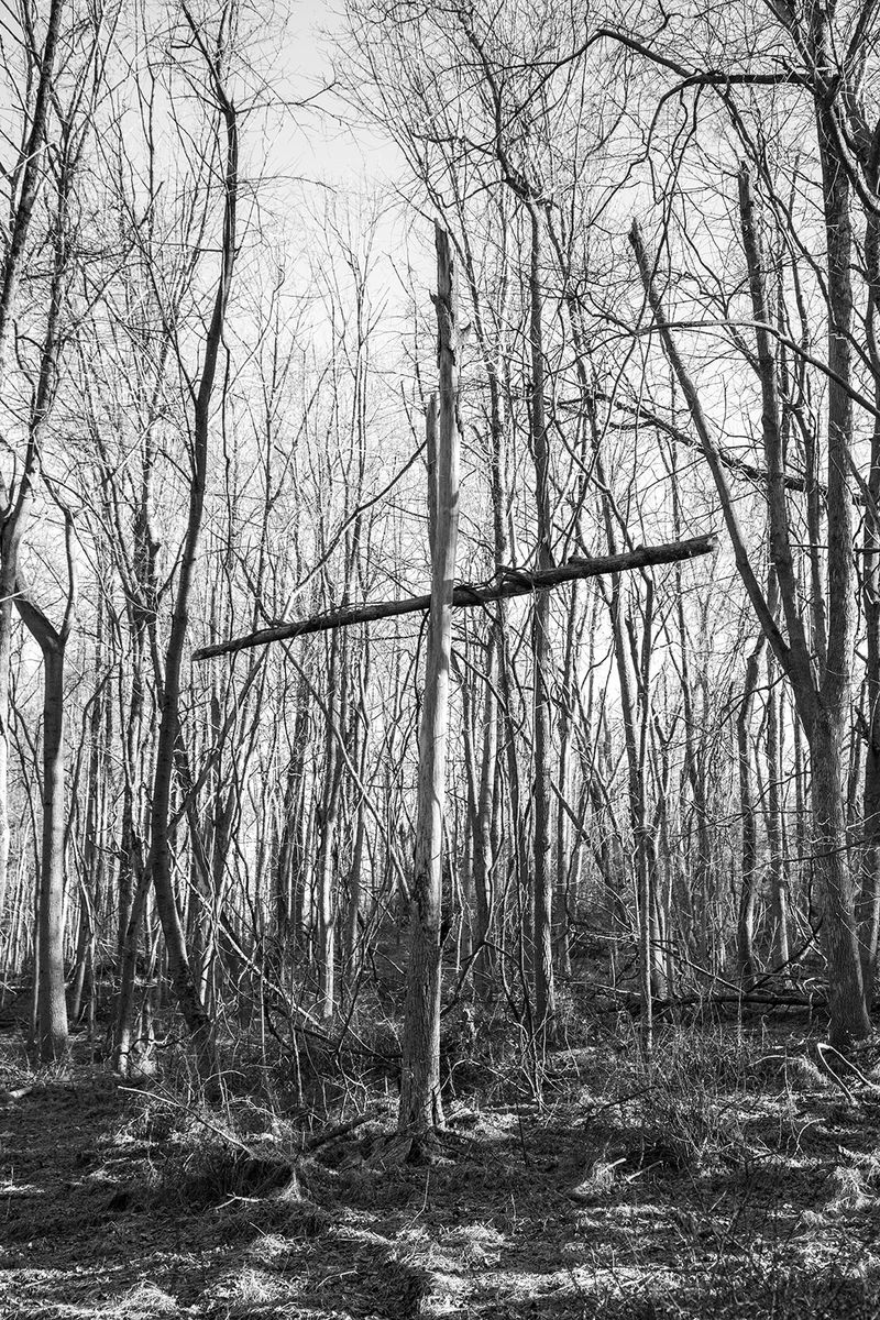 © Riley Goodman - The Harbinger