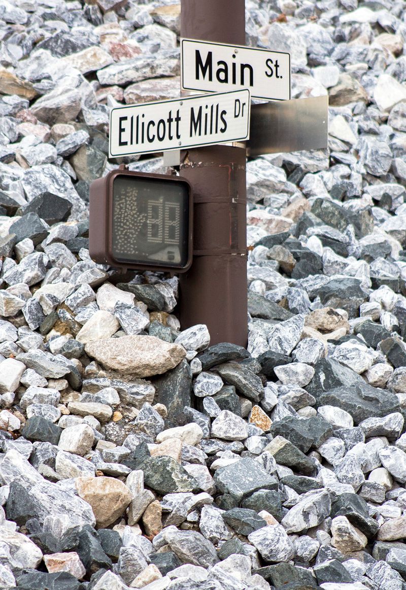 © Riley Goodman - The Fortune Foretold