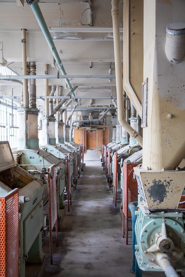 © Riley Goodman - Patapsco Superlative Flour