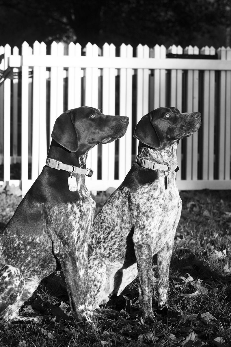 © Riley Goodman - Brodie & Sadie