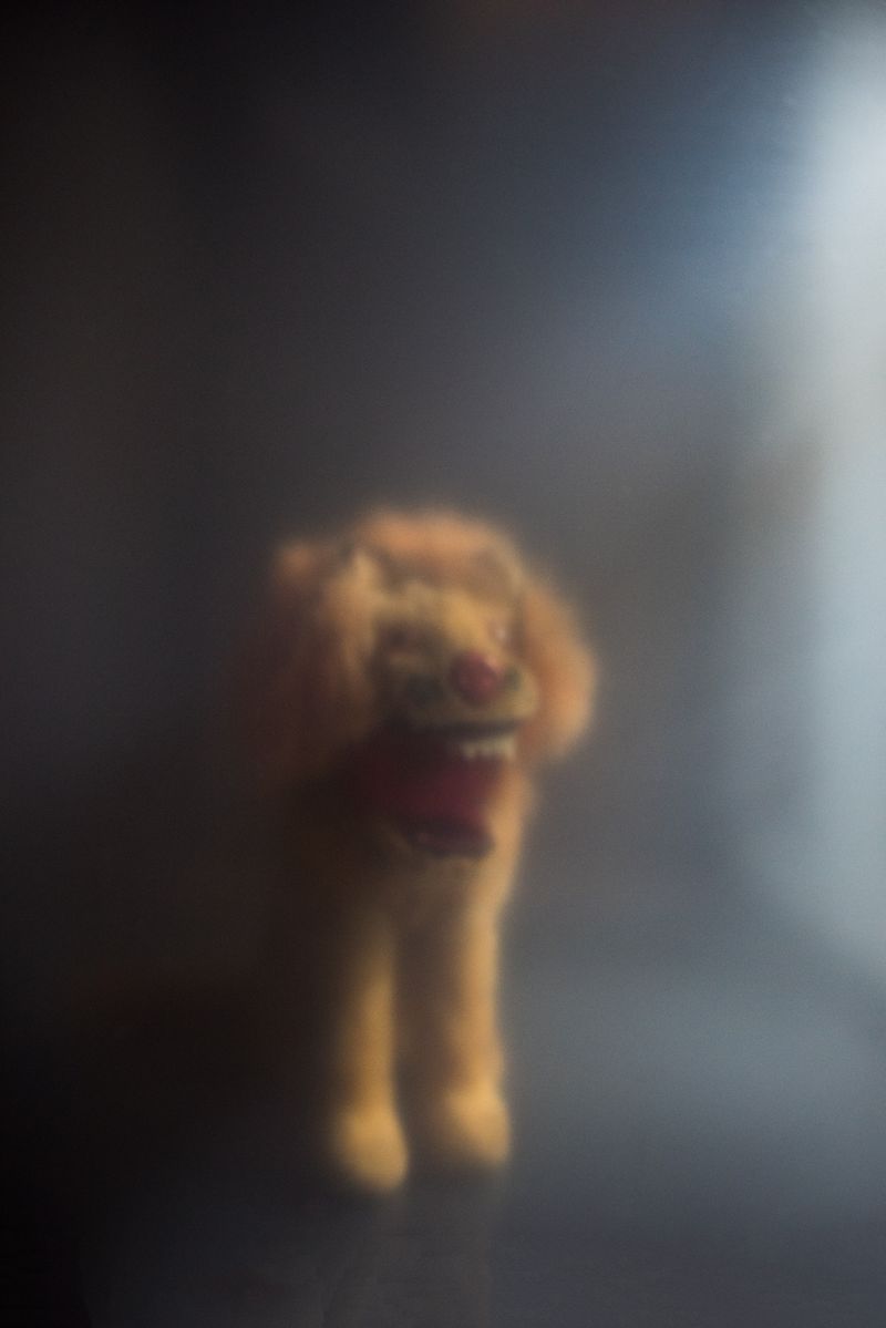© Nadide Goksun - Roar