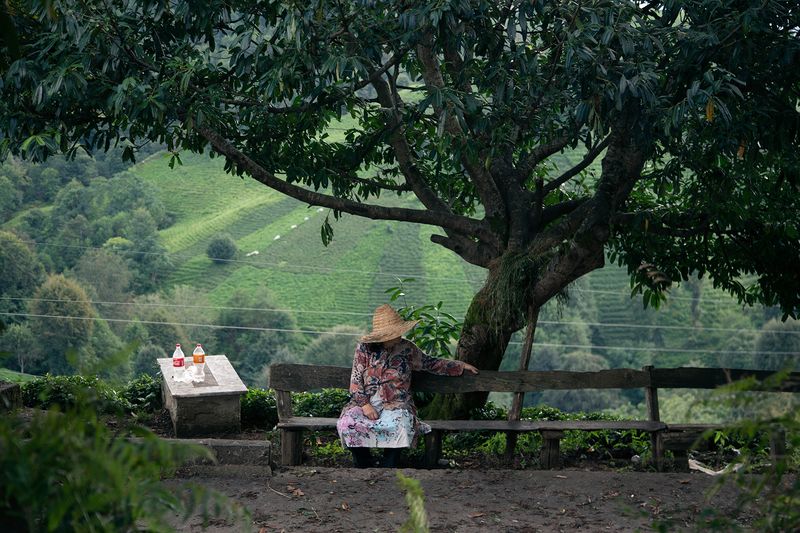 © yasemin taskin - Image from the National Passion photography project