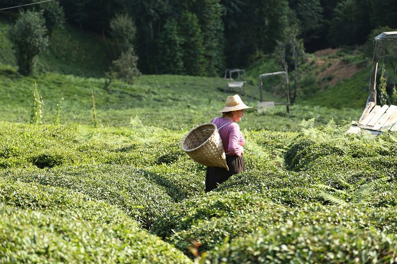 © yasemin taskin - Image from the National Passion photography project