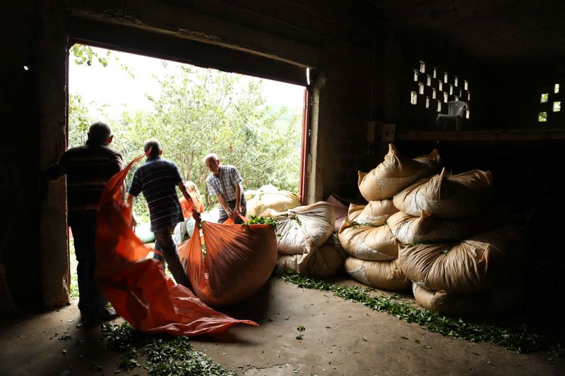 © yasemin taskin - Image from the National Passion photography project