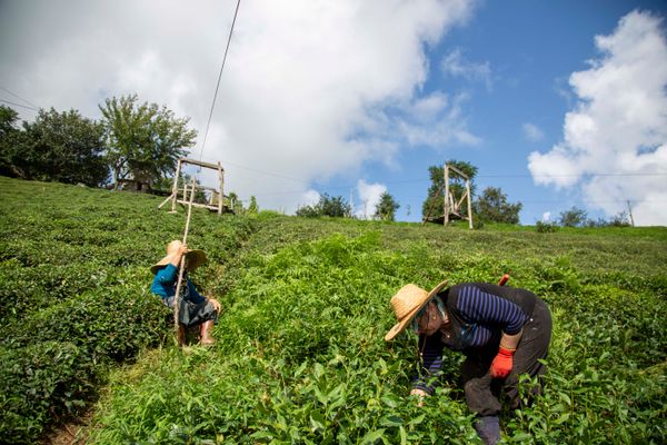 © yasemin taskin - Image from the National Passion photography project