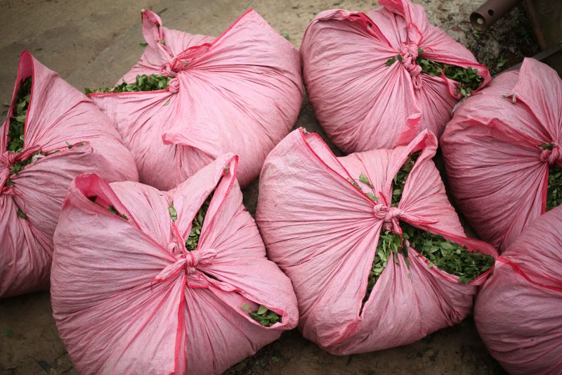 © yasemin taskin - Image from the National Passion photography project