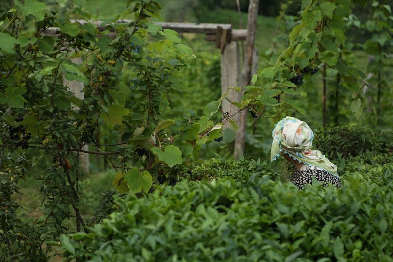 © yasemin taskin - Image from the National Passion photography project