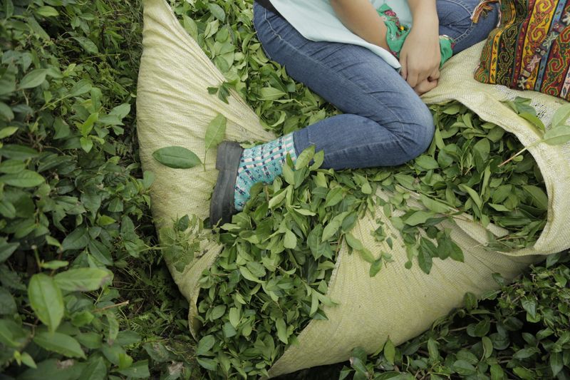 © yasemin taskin - Image from the National Passion photography project