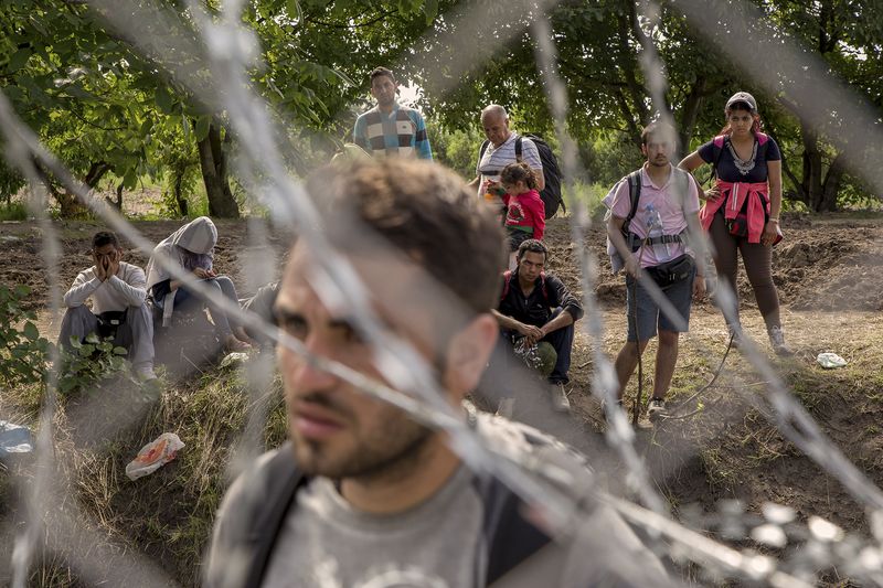 © Alessio Paduano - Migrants are seen near the Serbian border with Hungary in Rozske, Hungary on September 15, 2015.
