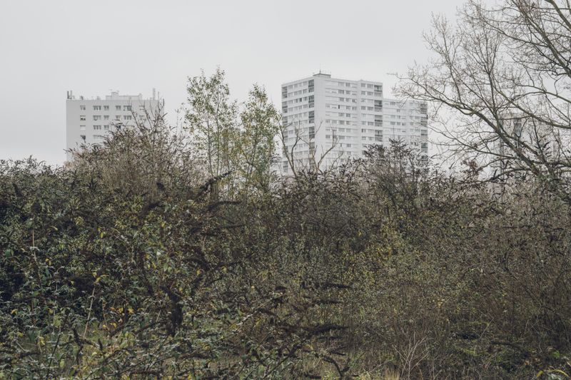 © Julien Paumelle - 48°48'16.2N 2°24'31.9E