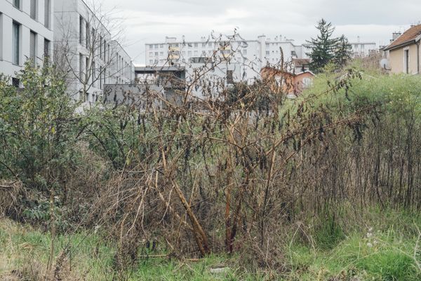 © Julien Paumelle - 45°46'22.6N 4°53'08.5E