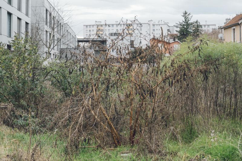 © Julien Paumelle - 45°46'22.6N 4°53'08.5E