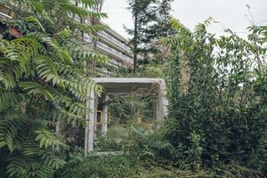 Wastelands: breaking down the dikes of control.