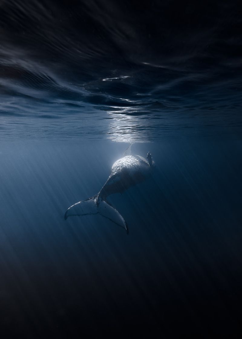 © Bjørn Jansen - Image from the Mooring photography project