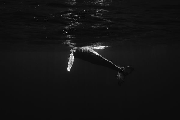 © Bjørn Jansen - Image from the Mooring photography project