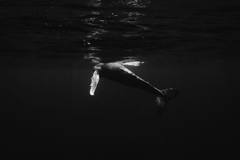 © Bjørn Jansen - Image from the Mooring photography project