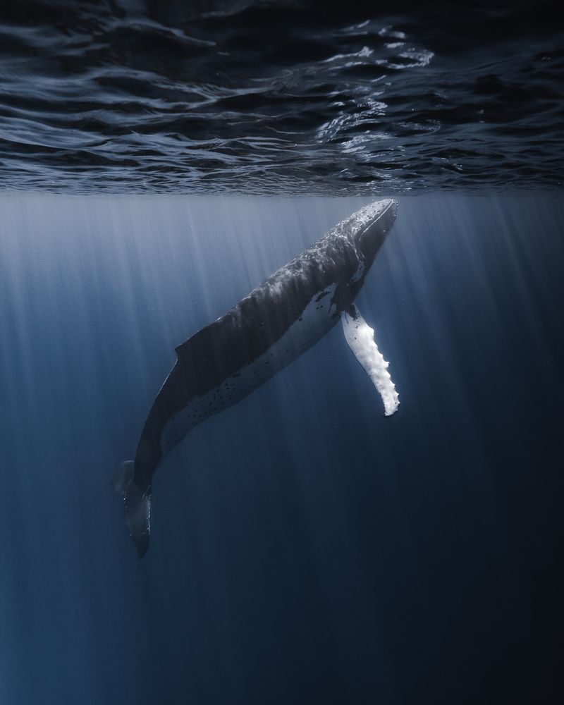 © Bjørn Jansen - Image from the Mooring photography project