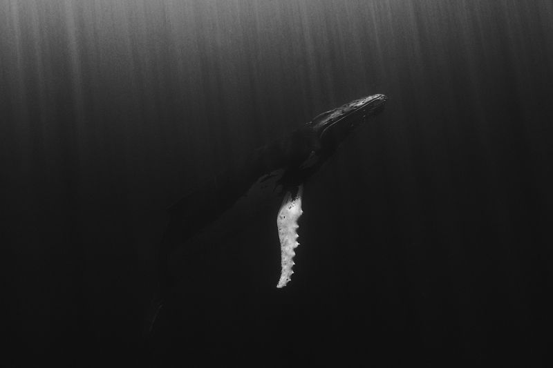 © Bjørn Jansen - Image from the Mooring photography project