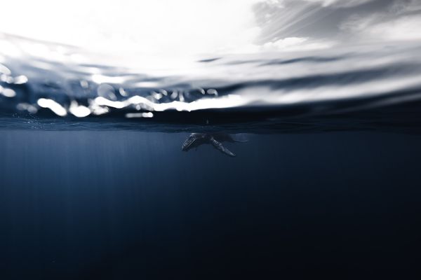 © Bjørn Jansen - Image from the Mooring photography project